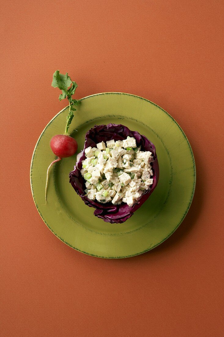 Tarragon Chicken Salad with Red Radish