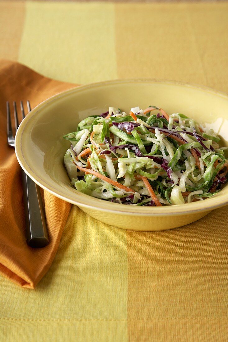 Coleslaw in a Bowl