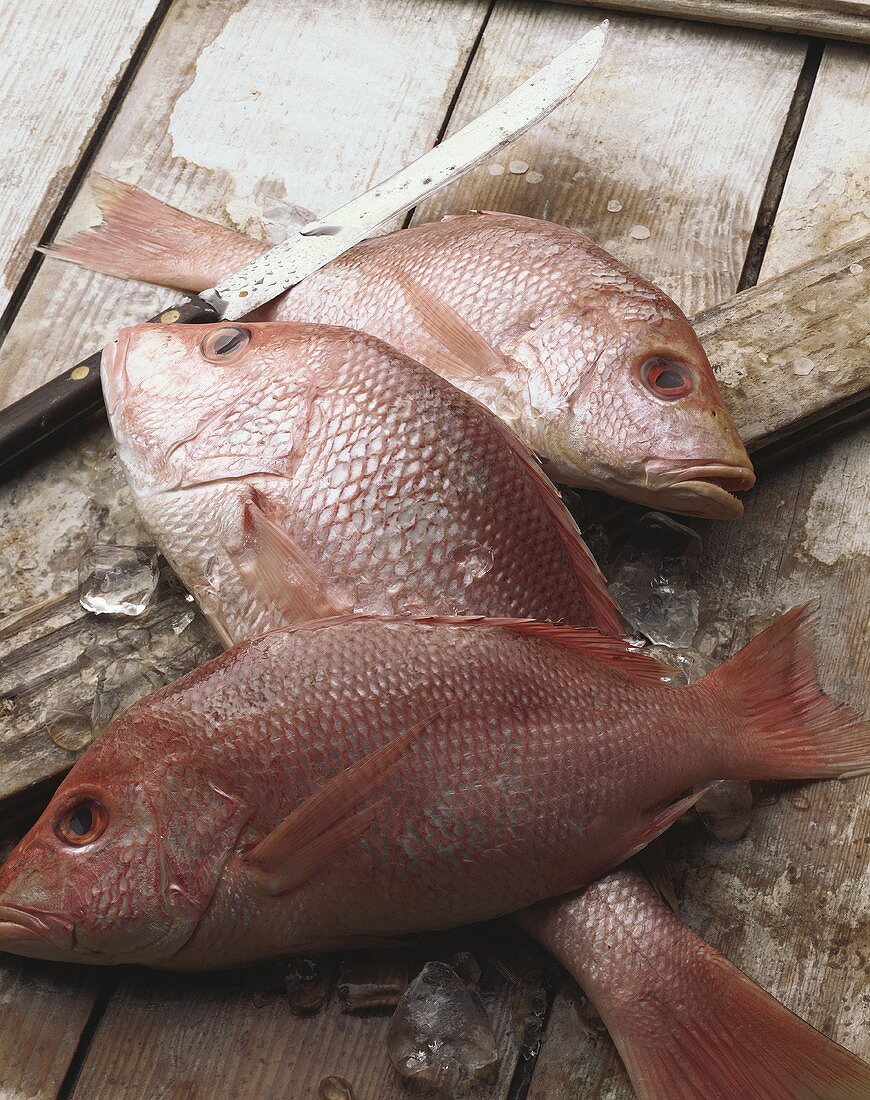 Three Whole, Uncooked Red Snapper