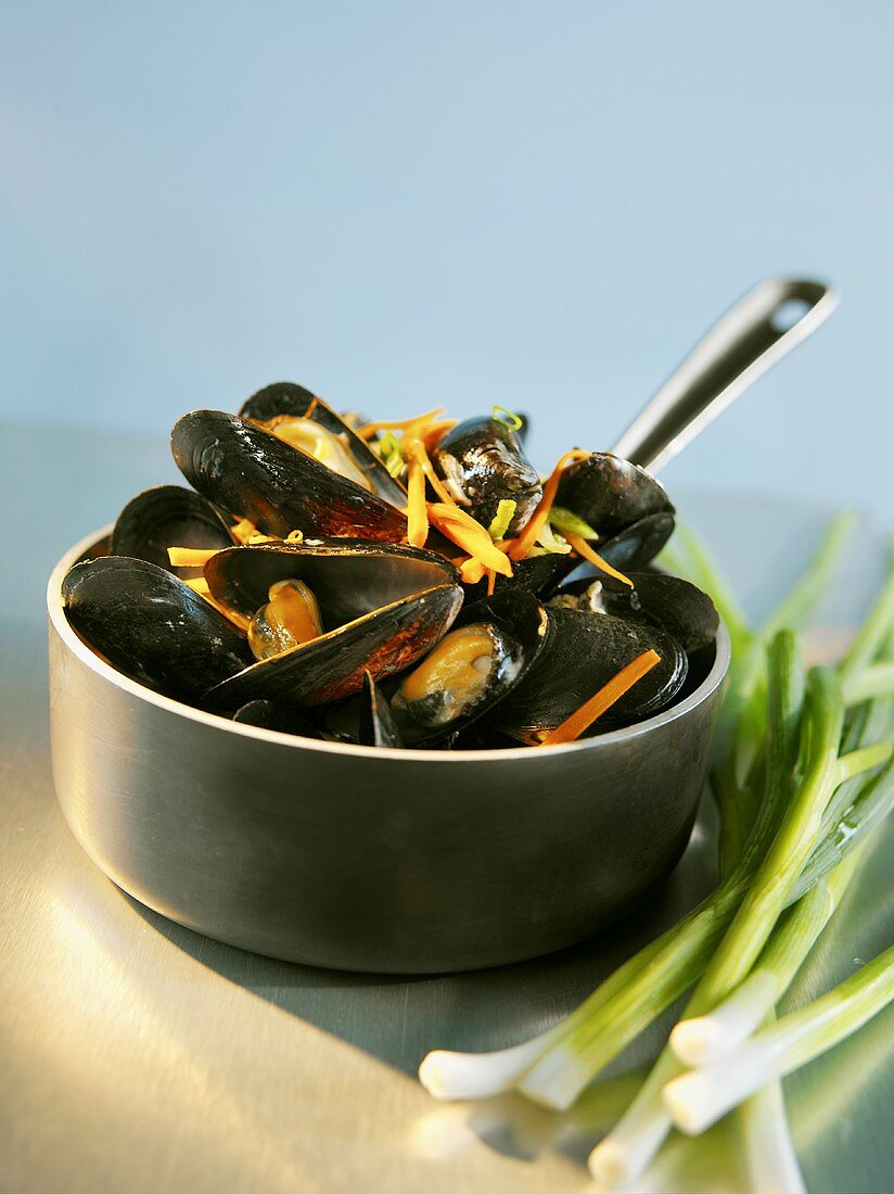 Steamed Mussels in a Saucepan