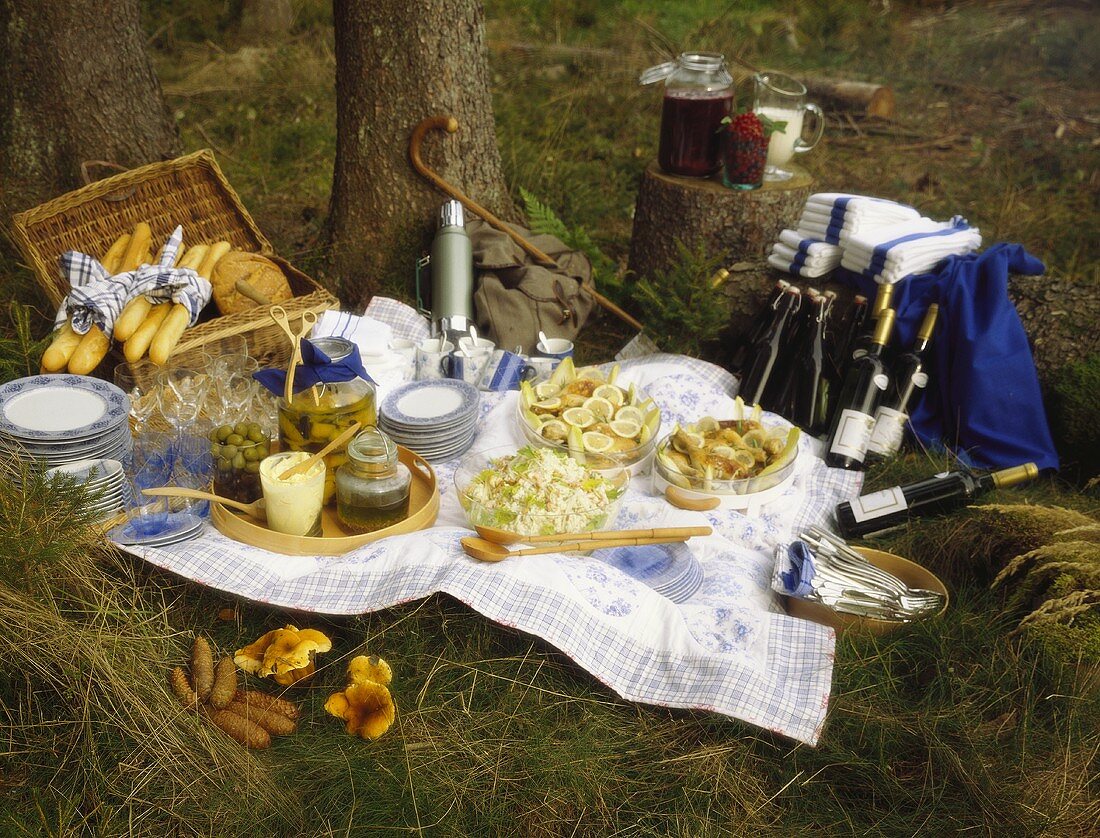 Picknick im Wald
