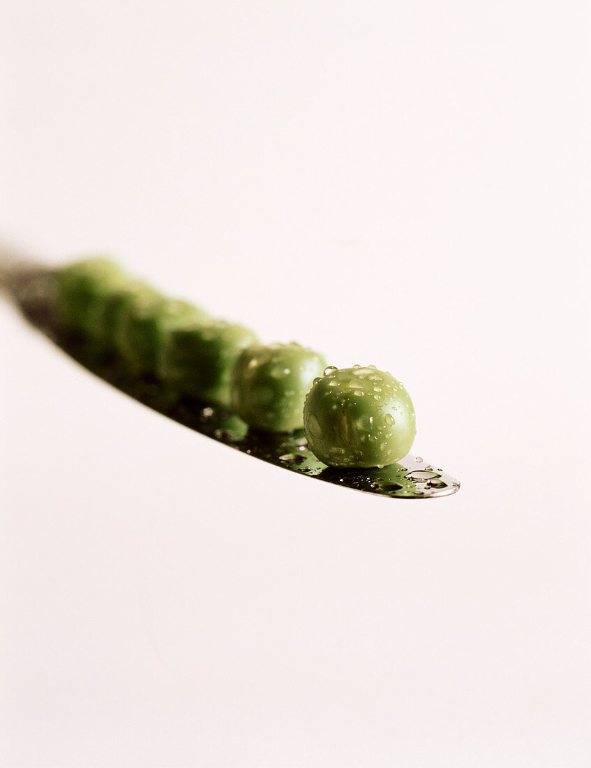 Freshly Washed Peas with Water Drops on a Butter Knife