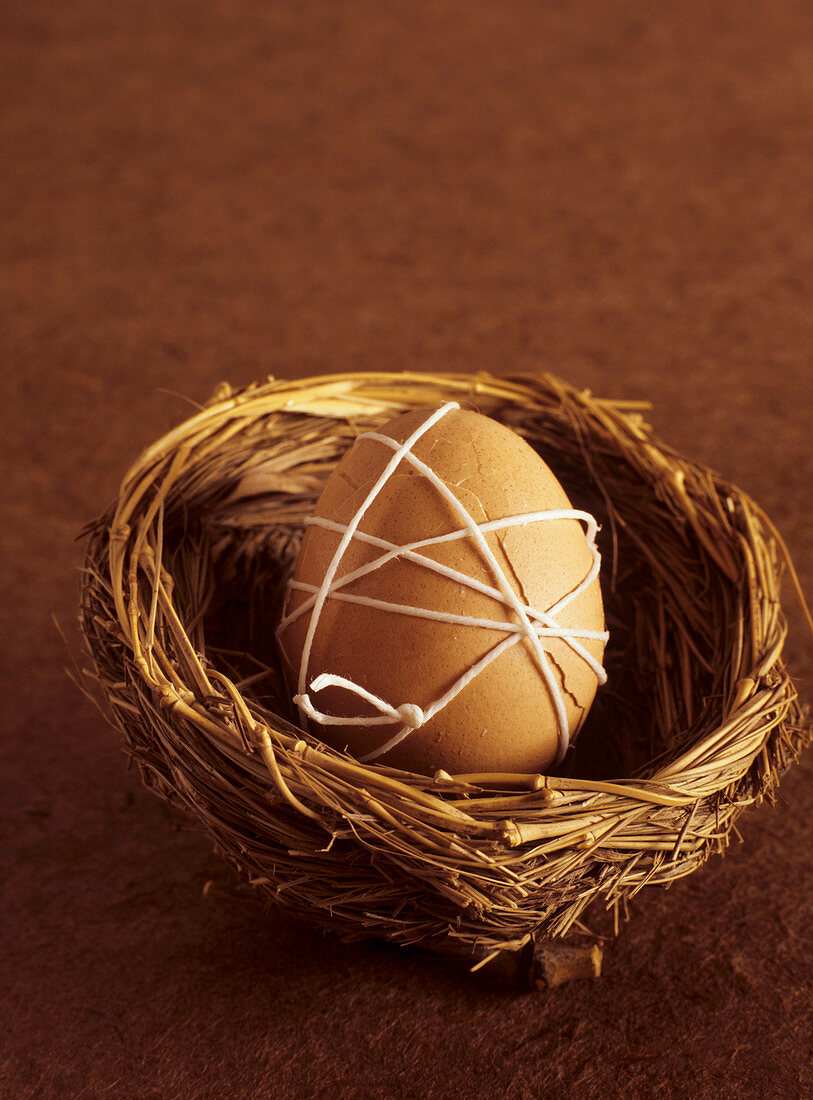 Brown Cracked Egg Wrapped in White String in a Birds Nest