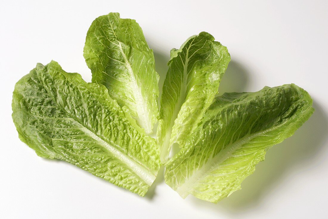 Several romaine lettuce leaves on white background