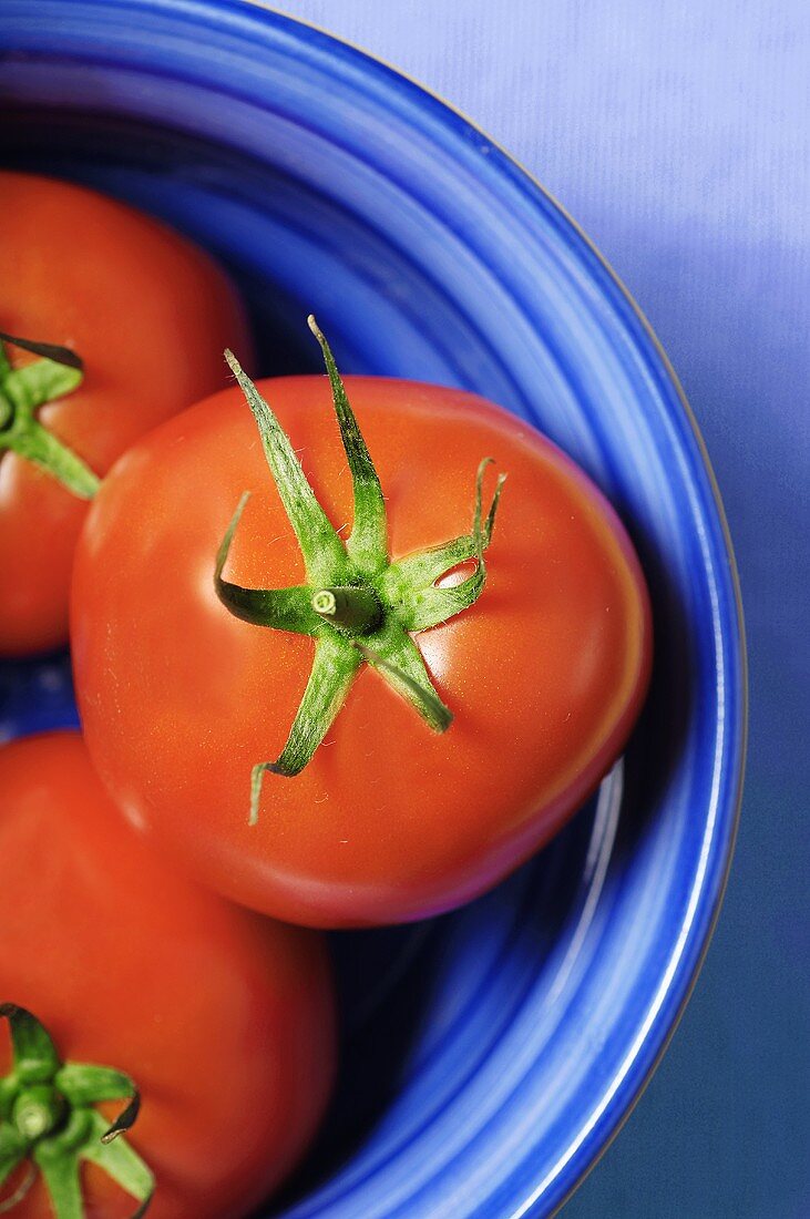 Overhead of Ripe Red Tomatoes in a Blue Bowl