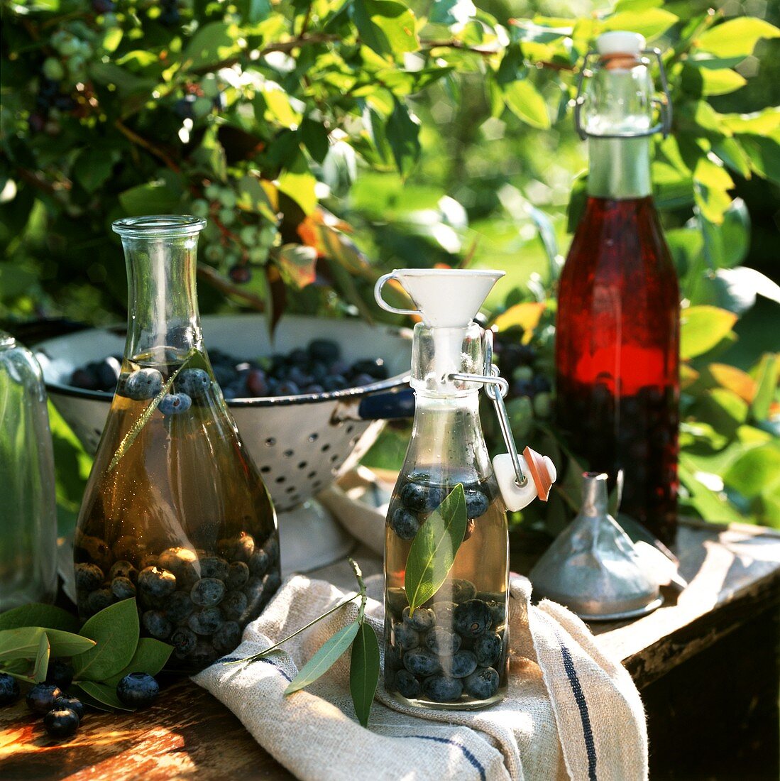 Blueberry Vinegar in Glass Bottles with Fresh Blueberries on an Outdoor Table