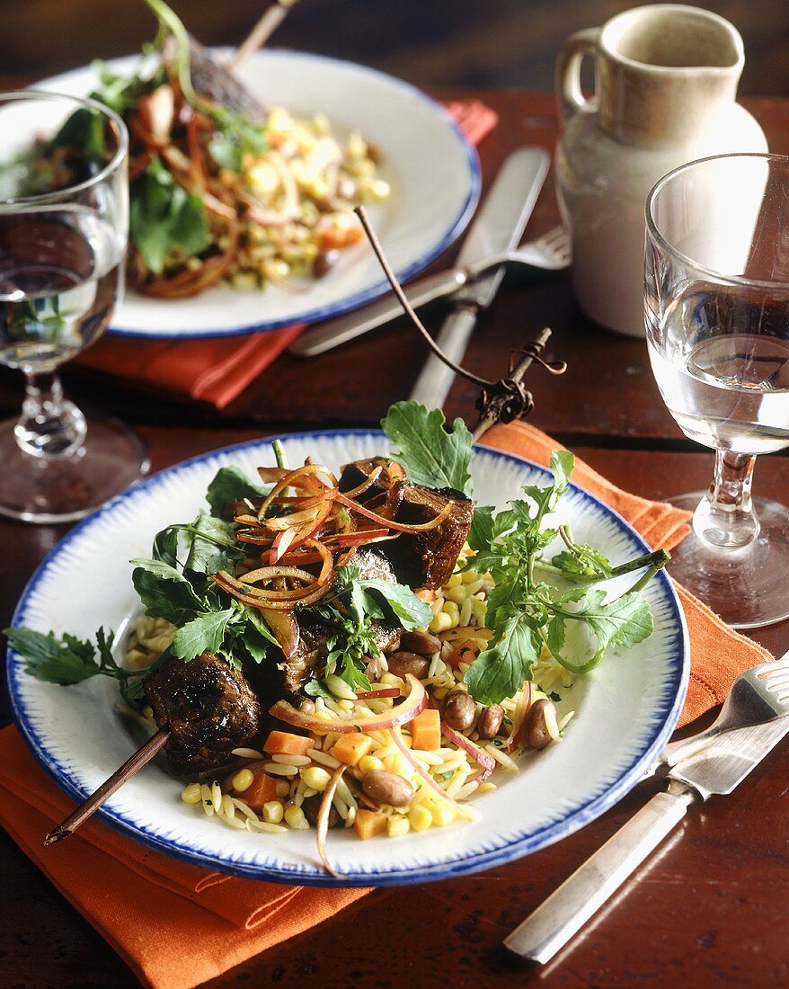Beef kebabs with pasta salad and vegetables