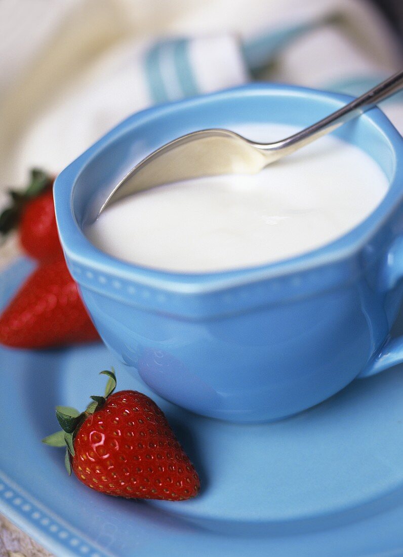 Natural yoghurt and fresh strawberries