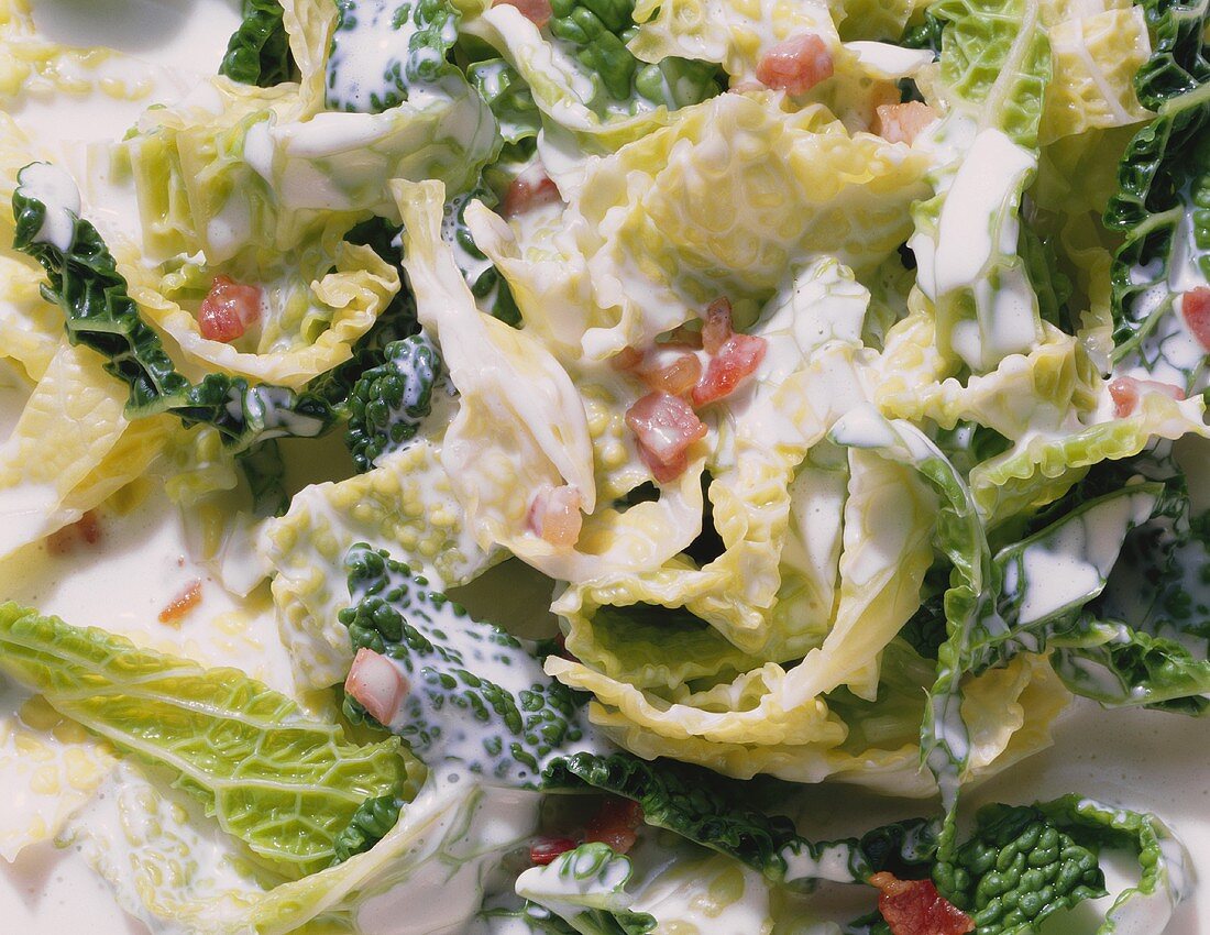 Savoy Cabbage in Cream Sauce