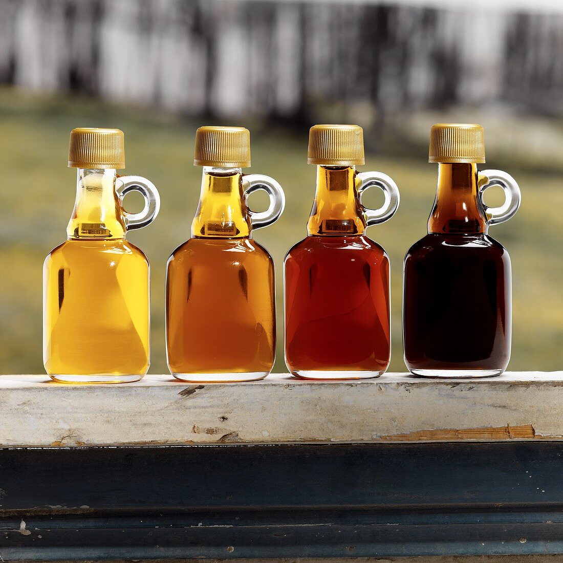 Assorted Grades of Maple Syrup in Glass Bottles in Window