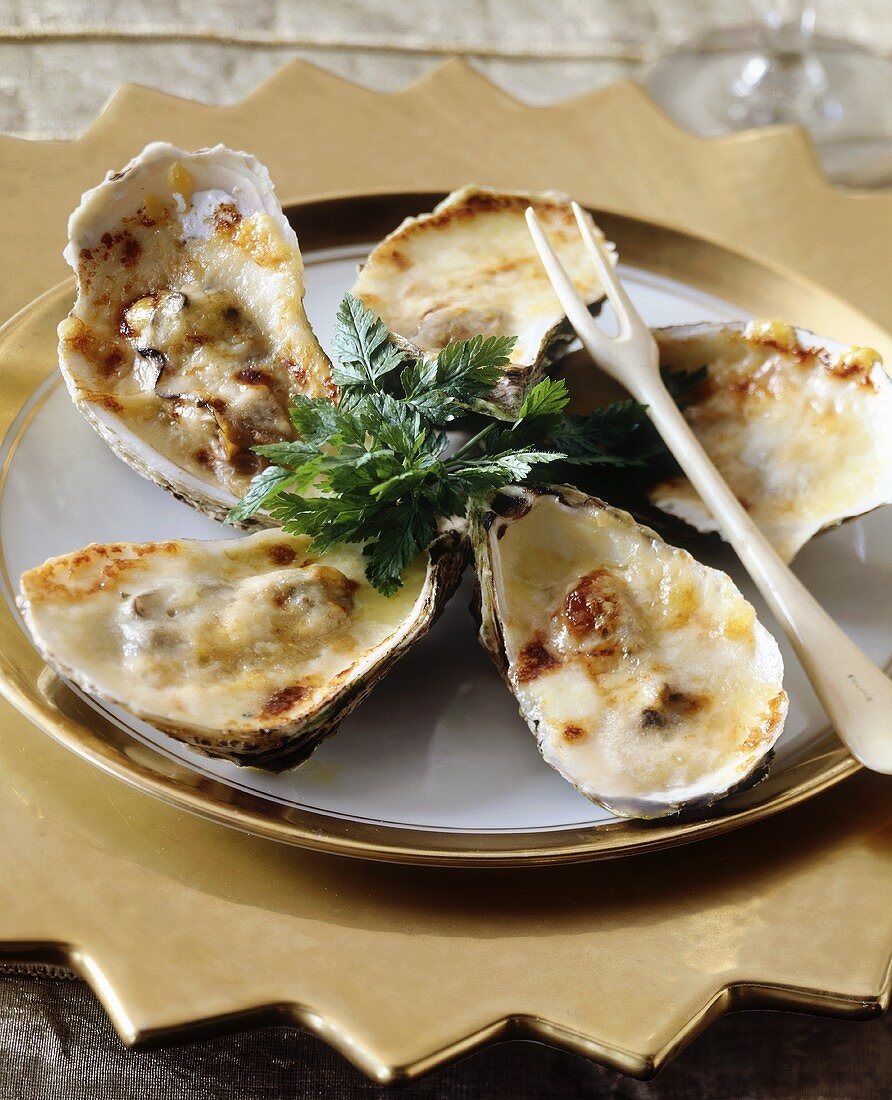 Oysters in their shells with toasted cheese topping