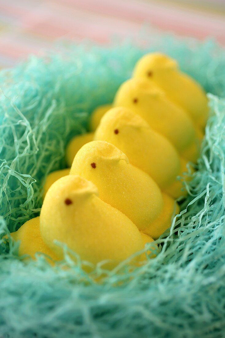 Easter sweets: yellow marshmallow chicks in blue nest