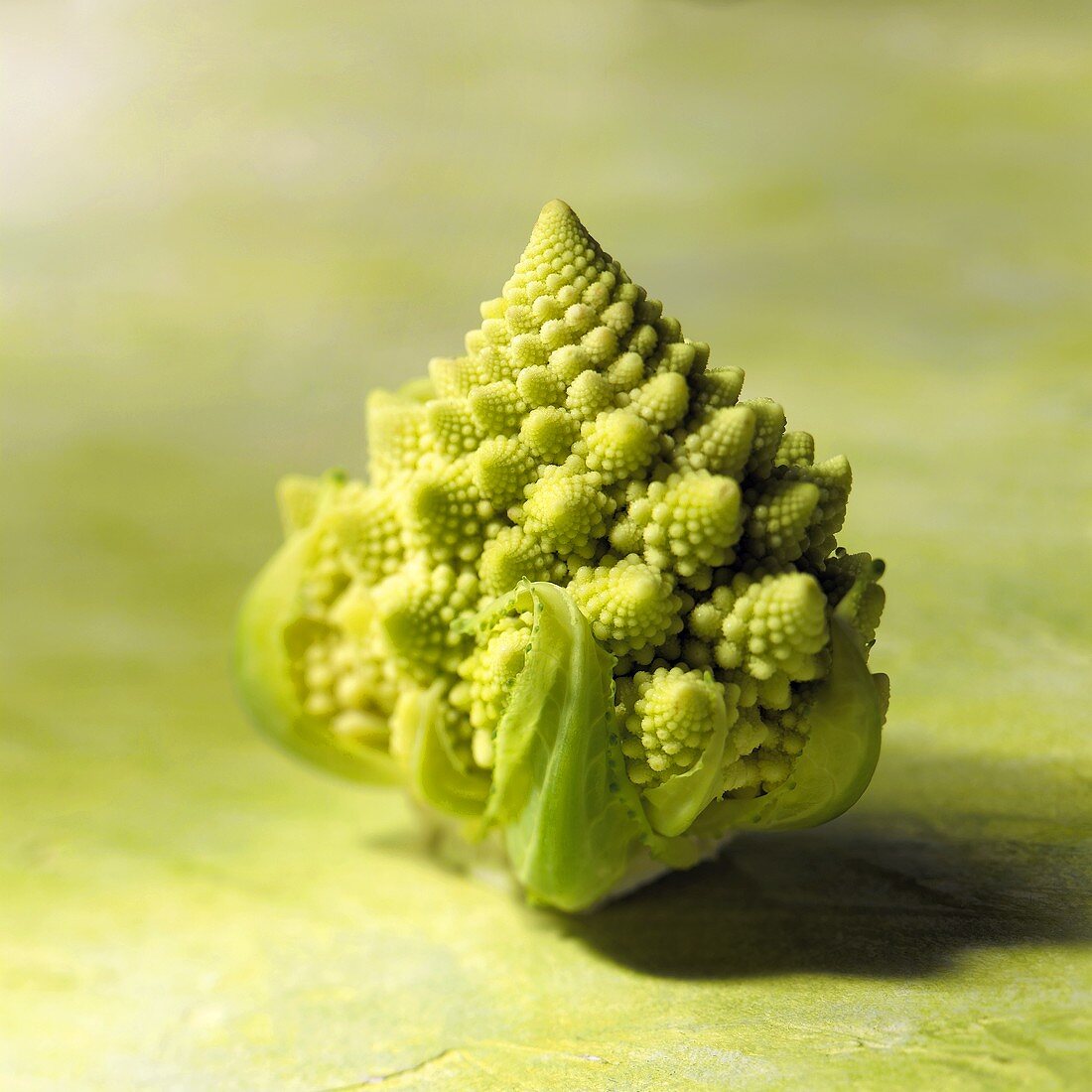 Ein Kopf Romanesco