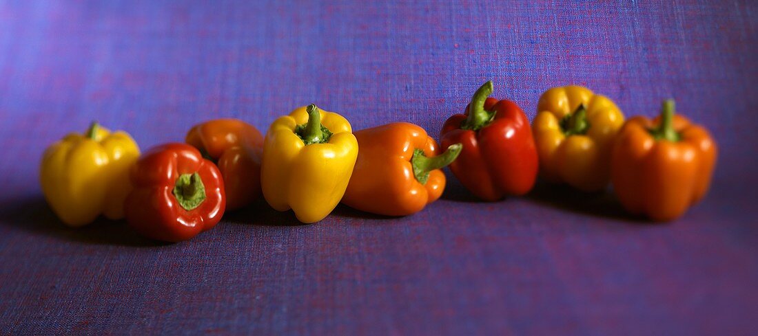 Yellow, Red and Orange Bell Peppers on Blue Background