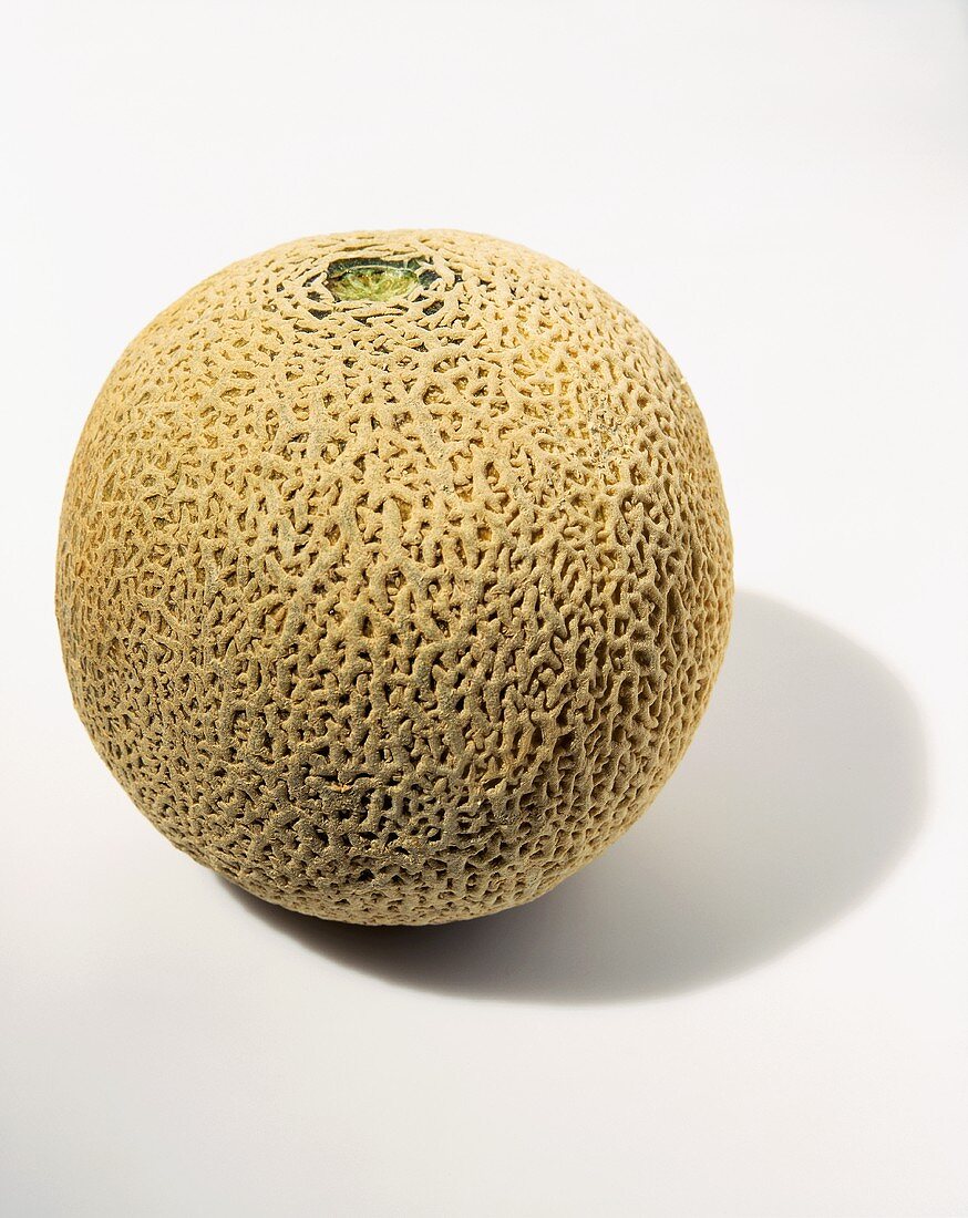 A whole cantaloupe