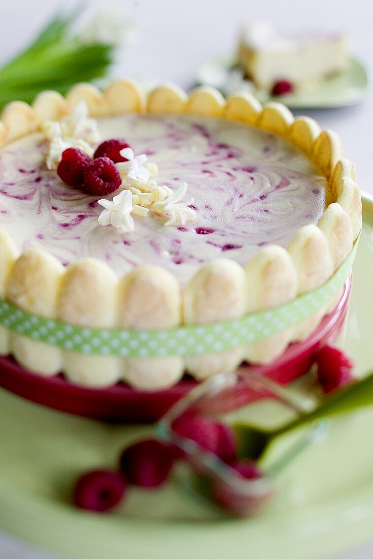 Cheesecake with raspberries and sponge fingers