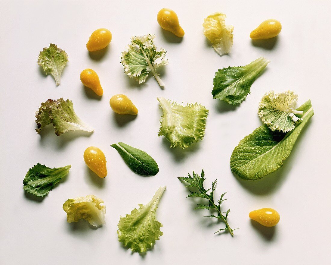 Verschiedene Salatblätter & gelbe Birnentomaten