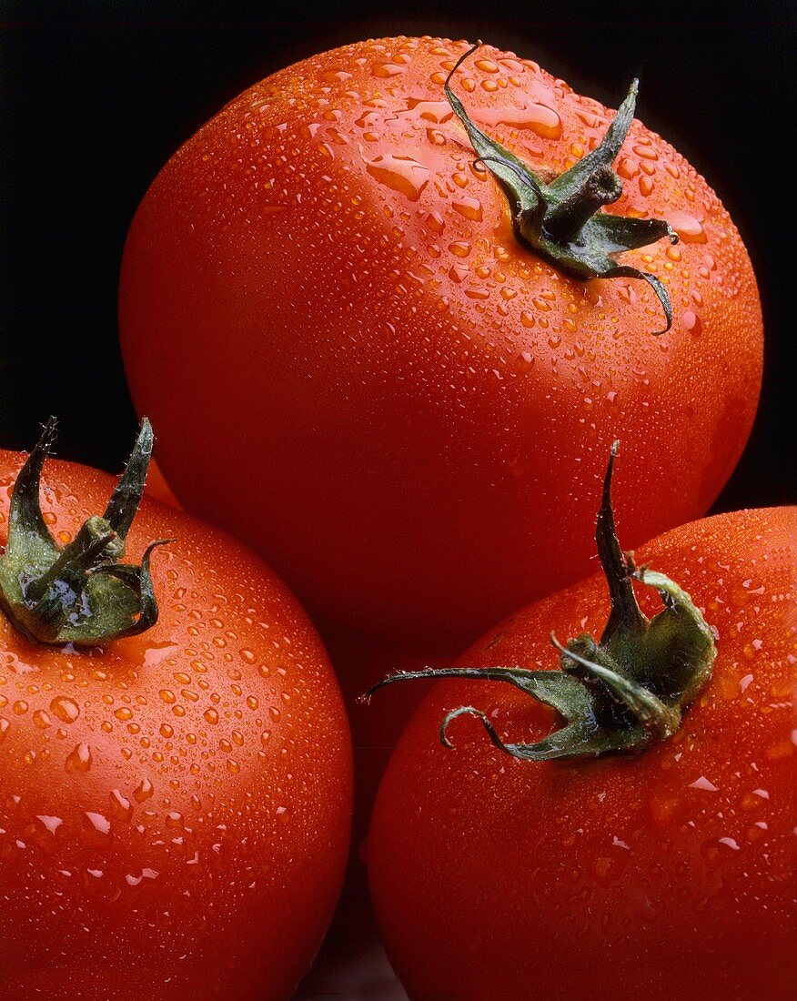 Drei Tomaten mit Wassertropfen (Nahaufnahme)