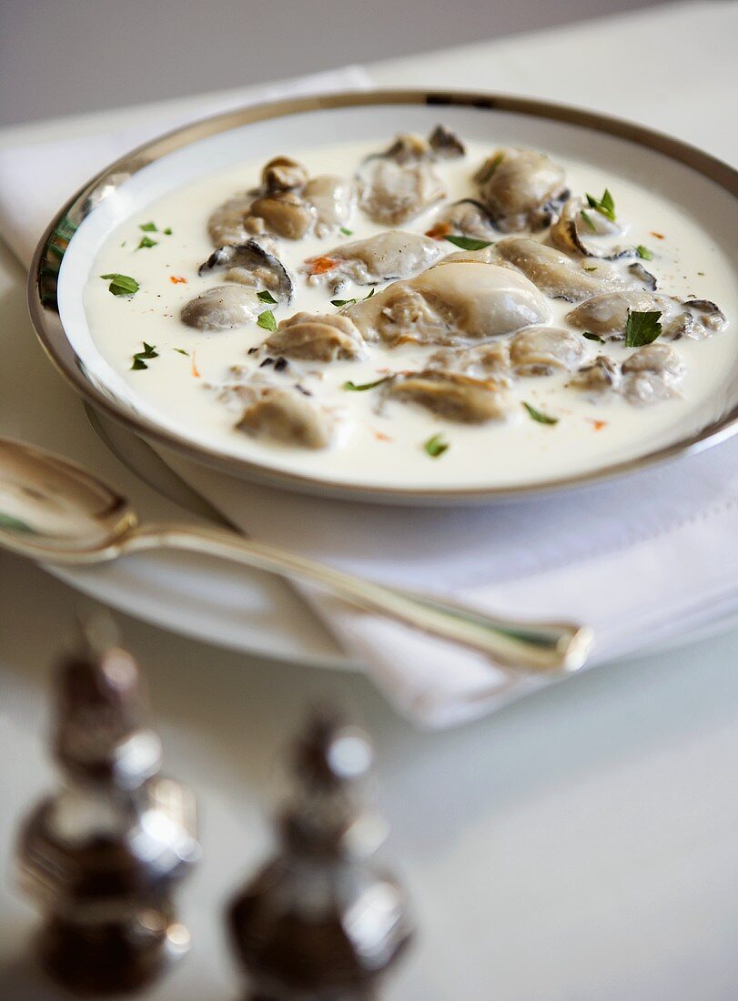 Clam chowder in a soup plate (USA)