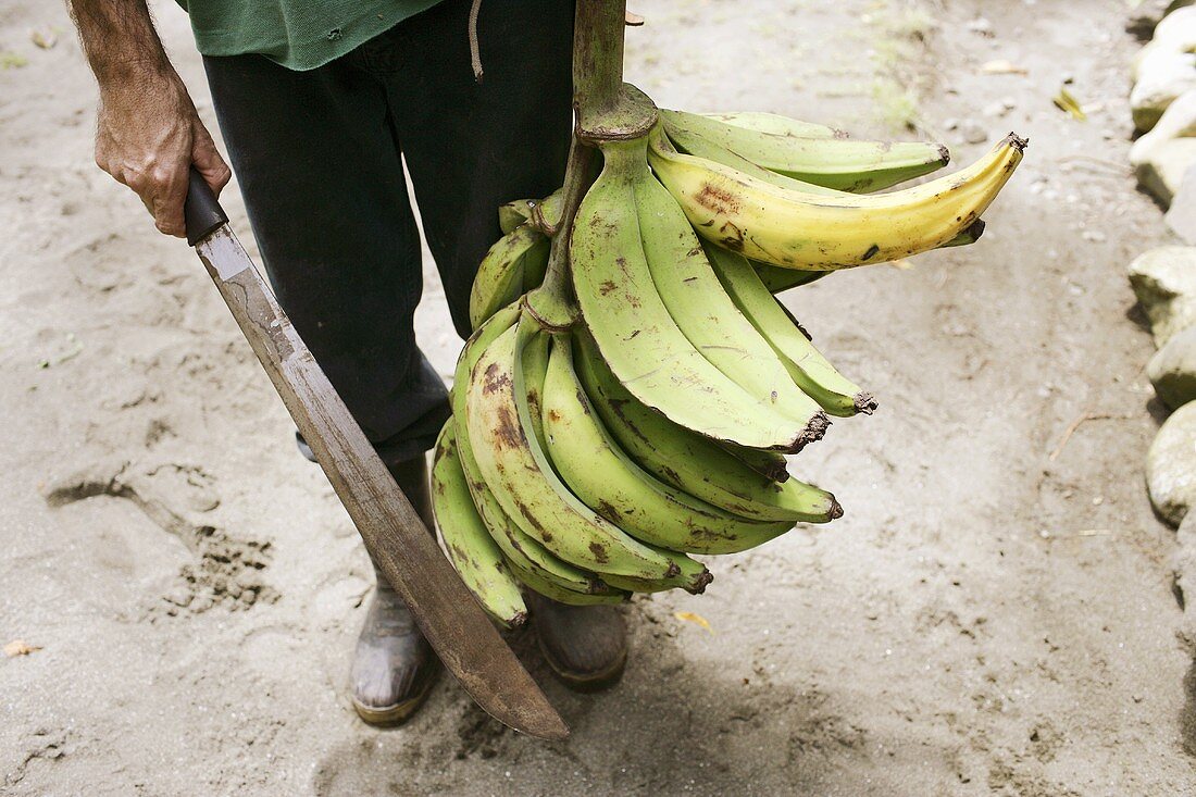 A man holding a bunch of plantains