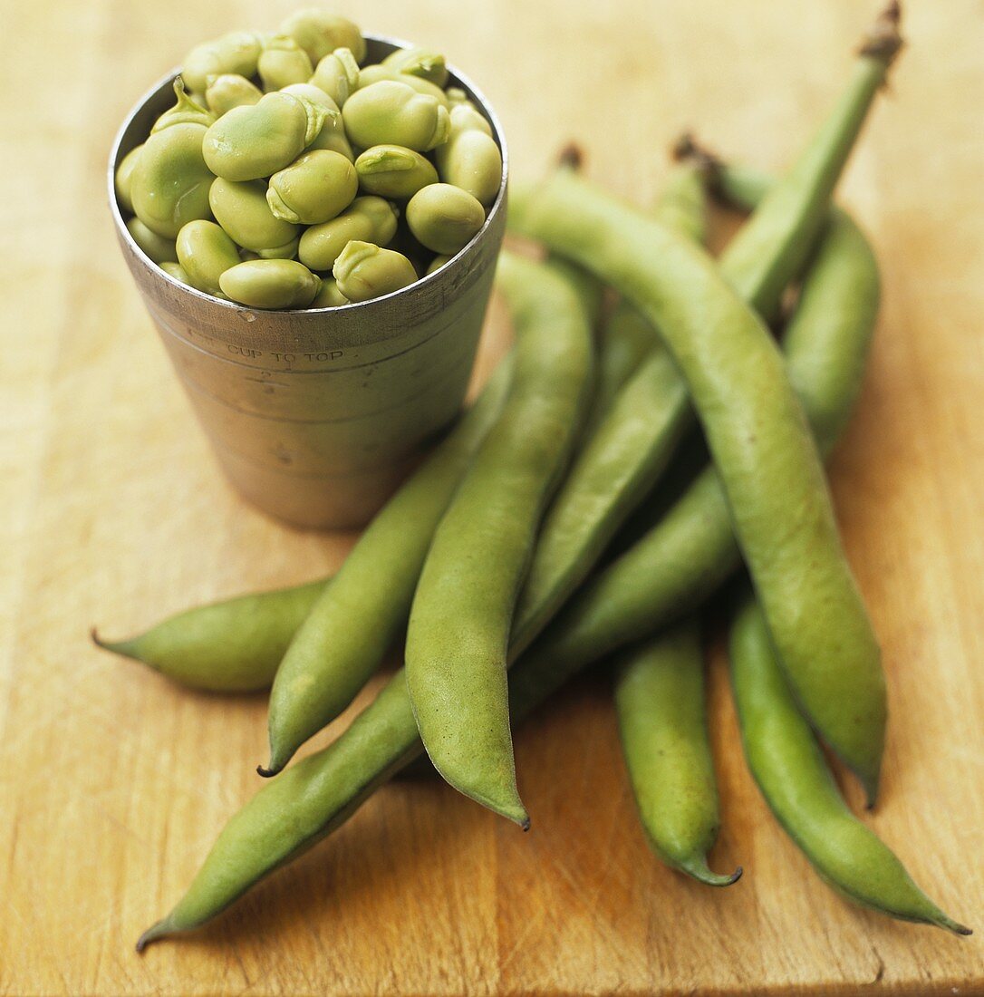 Fava Beans In and Out of Pods