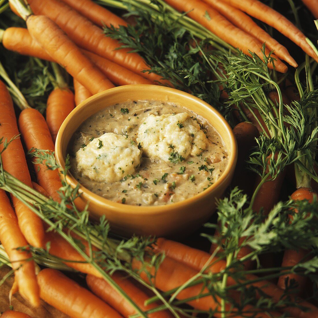 Bowl of Vegetable Soup with Dumplings; Fresh Carrots