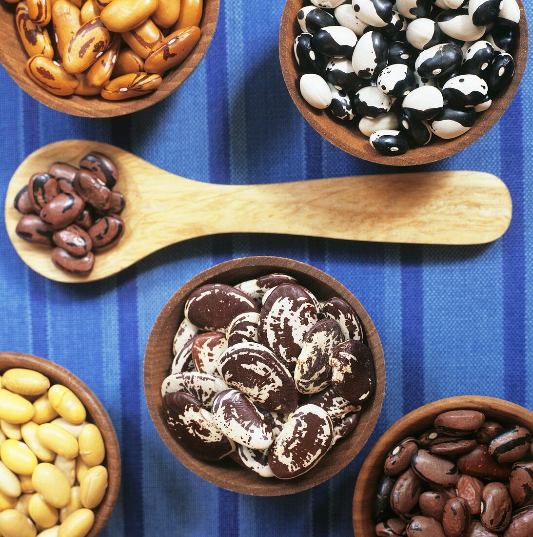 Variety of Heirloom Dried Beans