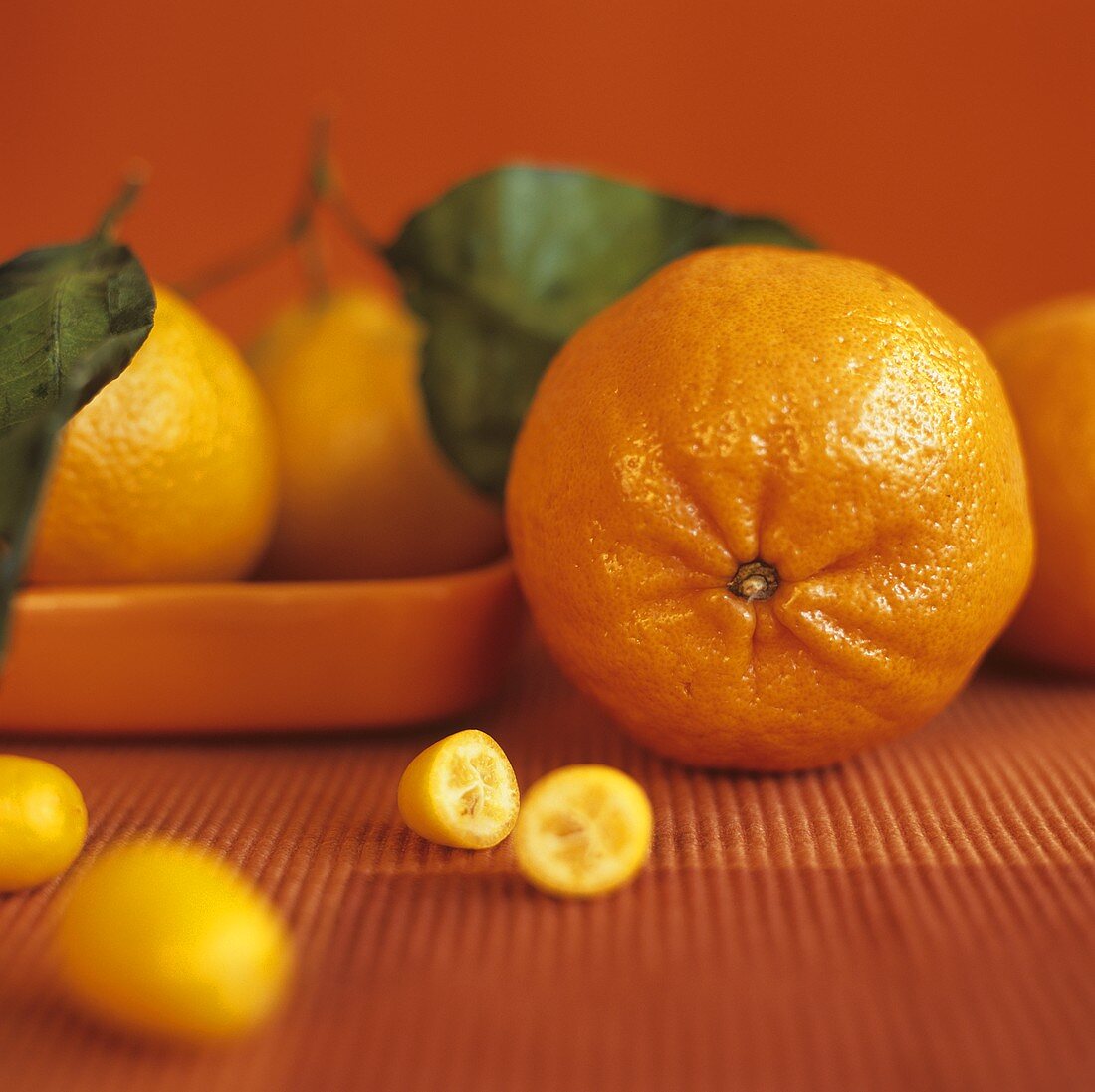 Clementinen, Kumquats und Orangen