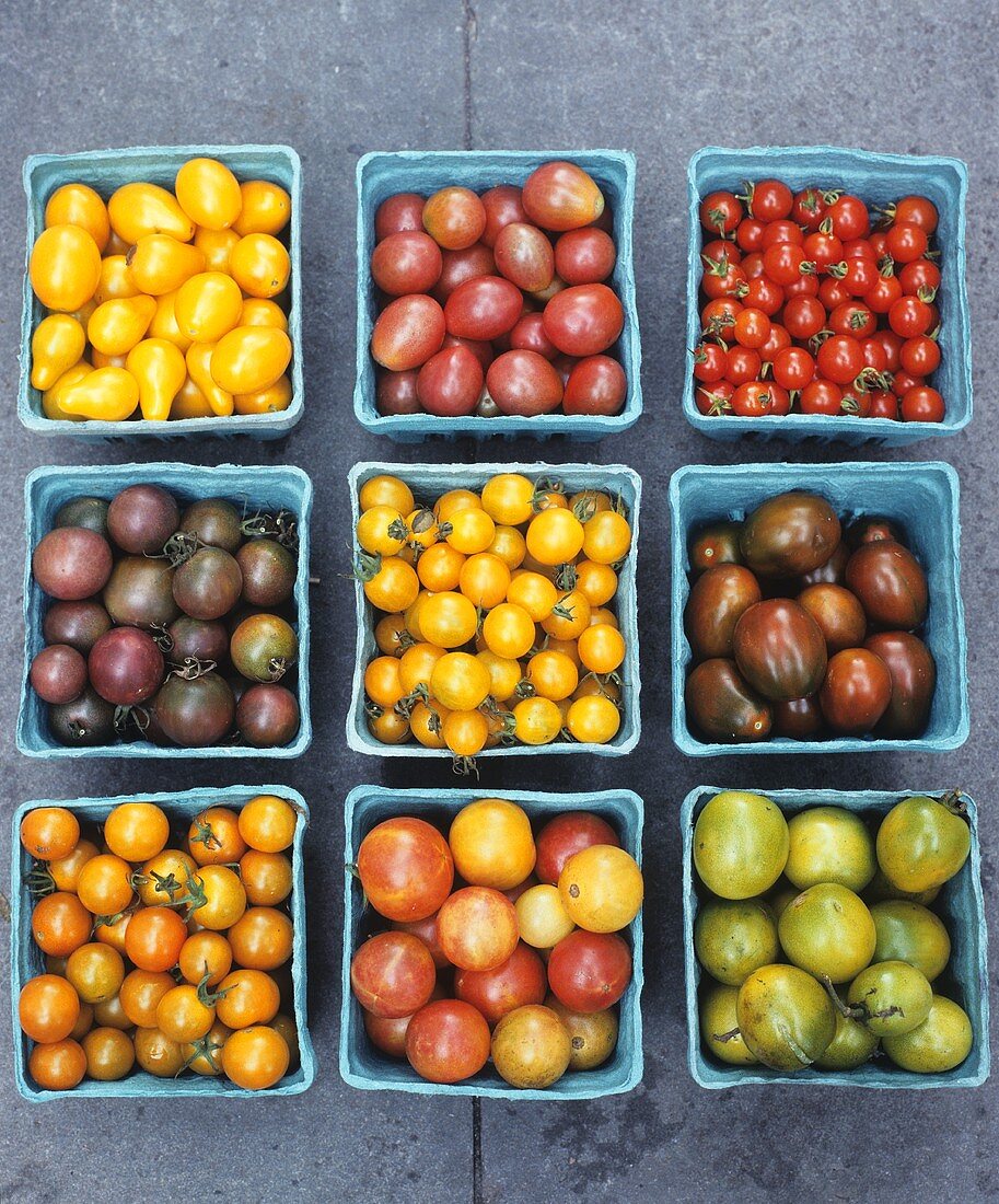 Verschiedene, kleine, bunte Tomaten in Pappschälchen