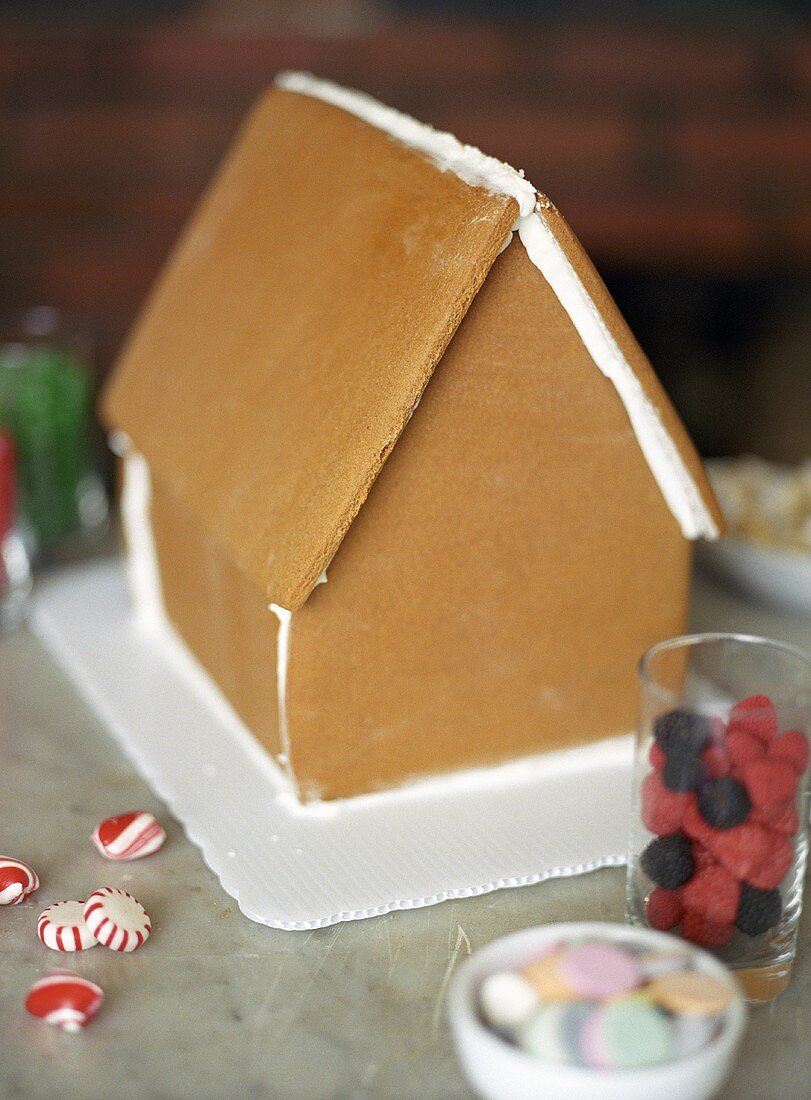 Undecorated Gingerbread House