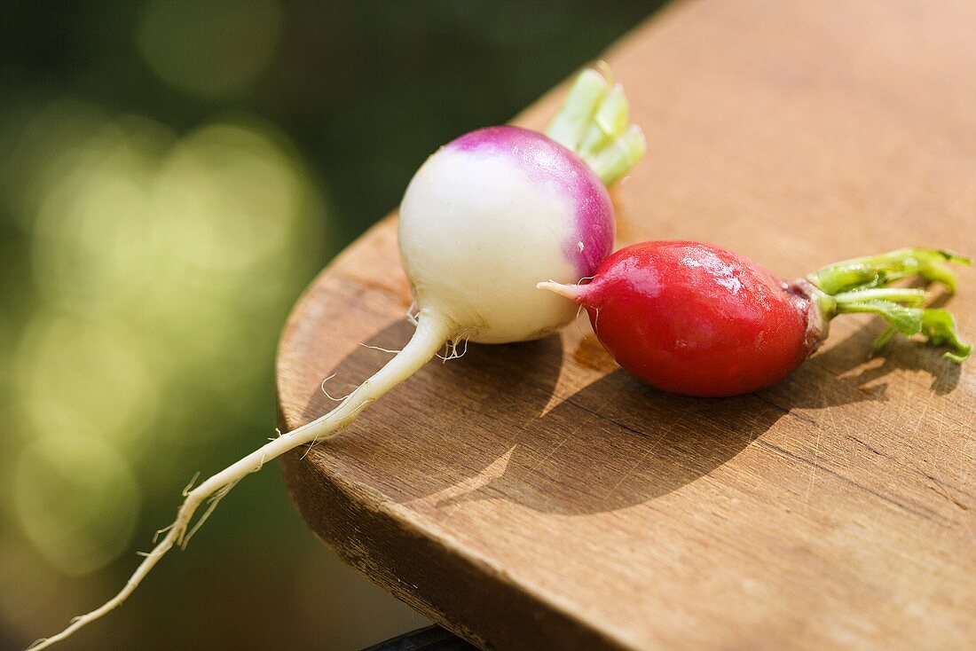 Two Fresh Radishes on Wooden Board