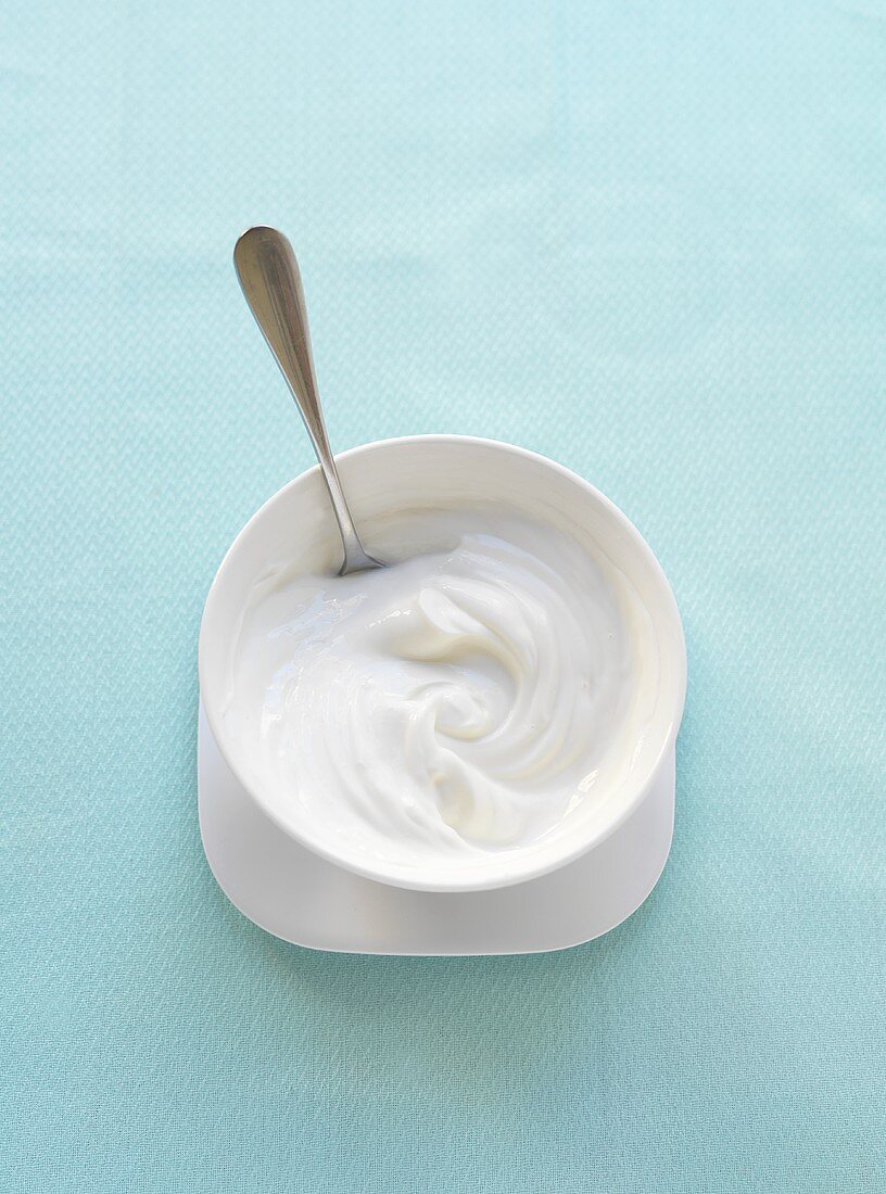 Bow of Greek Yogurt with Spoon