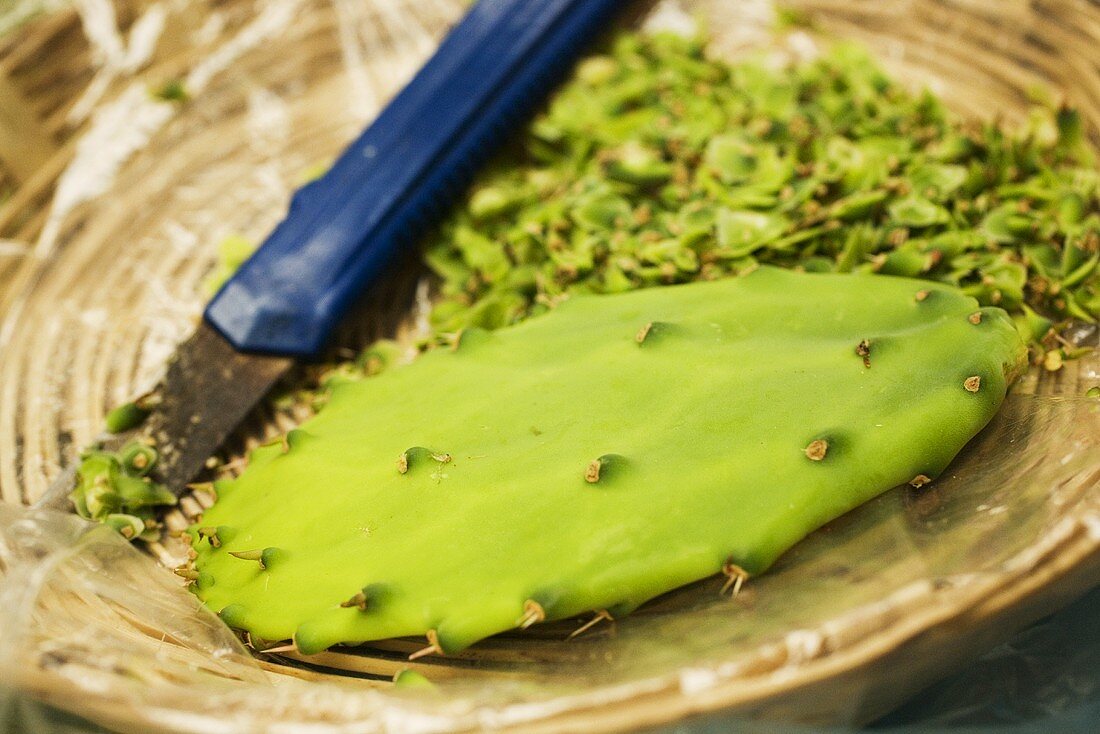 Spikes Being Shaved From a Nopales Cactus; Oaxaca Mexico