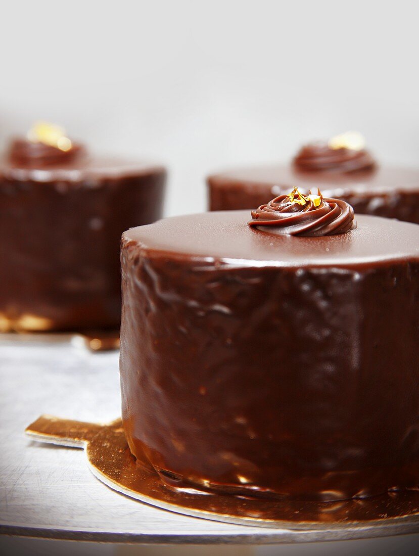 Three Layer Chocolate Cake with Raspberry Preserve Filling Covered in Chocolate Ganache