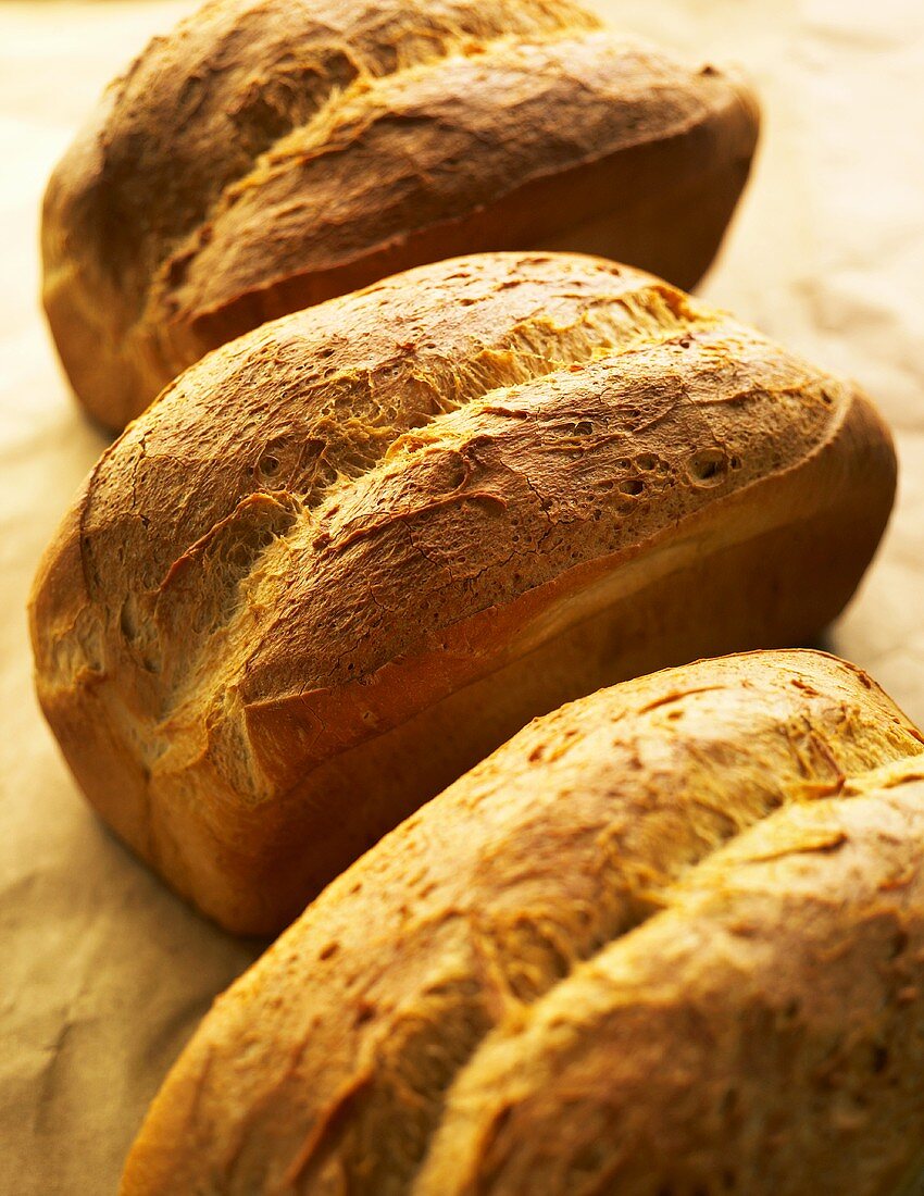 Loaves of Fresh Baked Bread