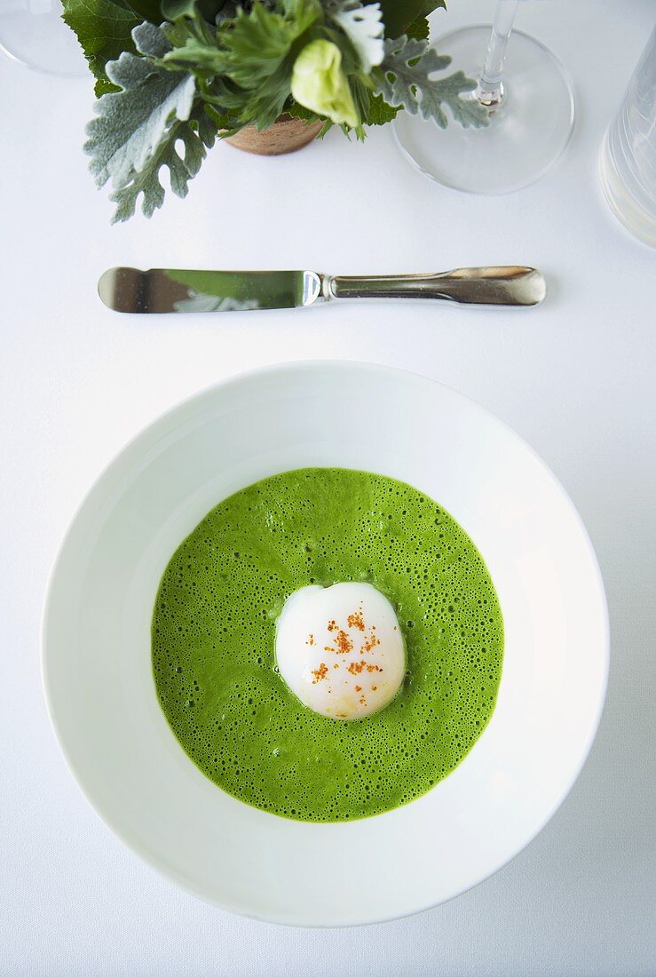 Organic Soft Boiled Egg in Cilantro Sauce; From Above