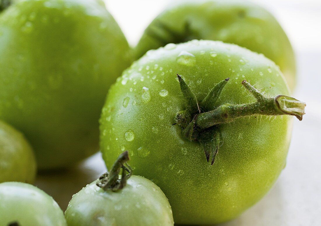 Wet Green Tomatoes
