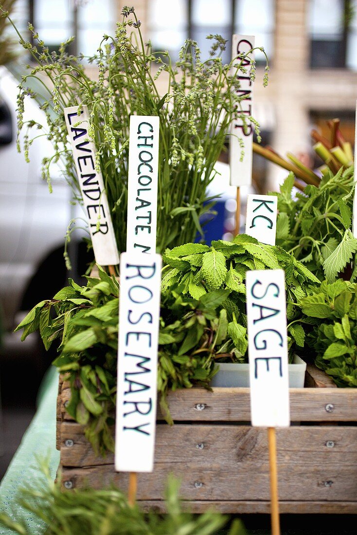 Fresh Herbs with Tags at Farmer's Market