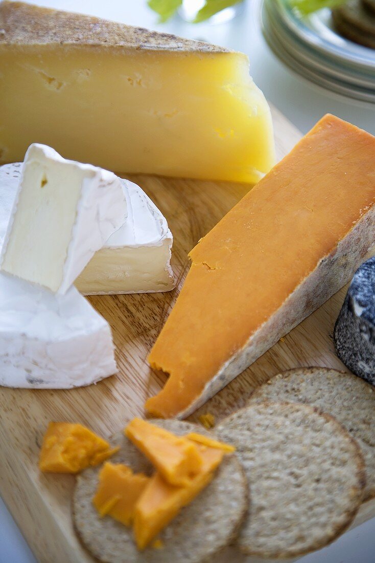 Verschiedene Käsesorten aus England mit Crackern