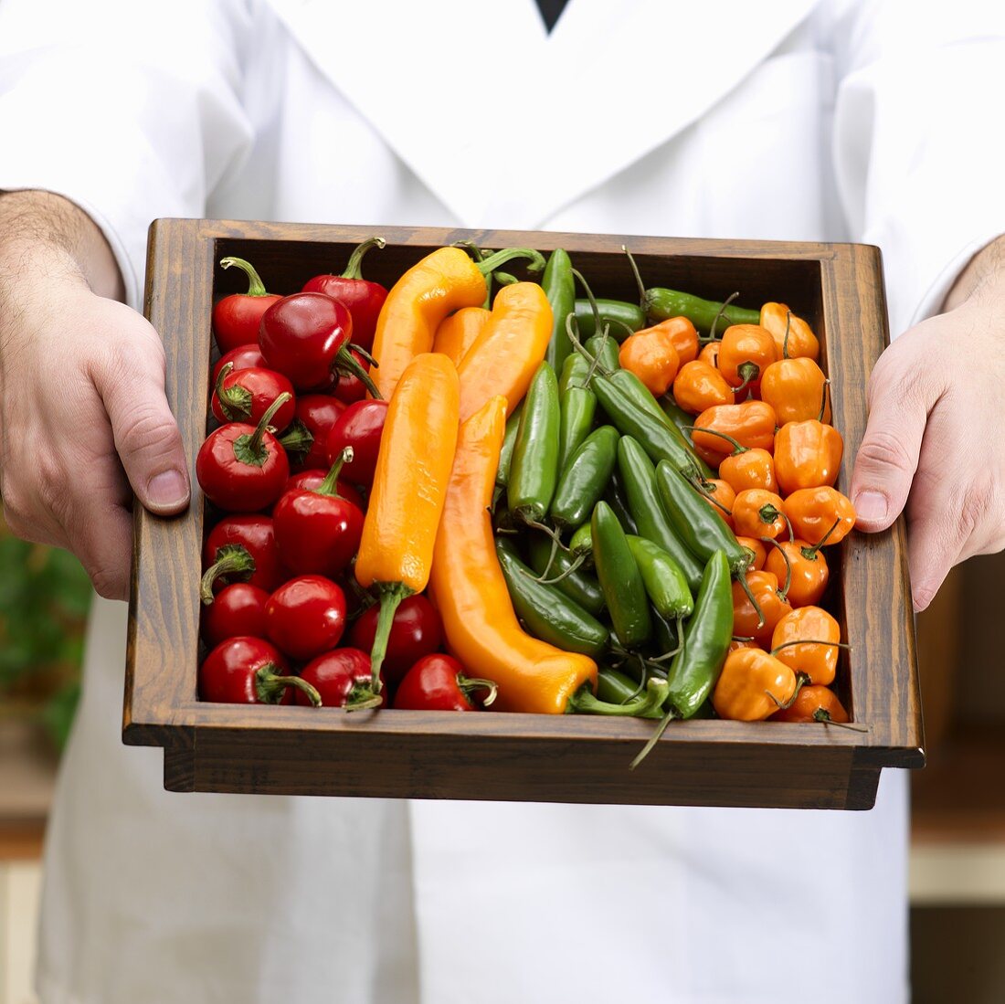Man Holding a Tray of Mixed Peppers
