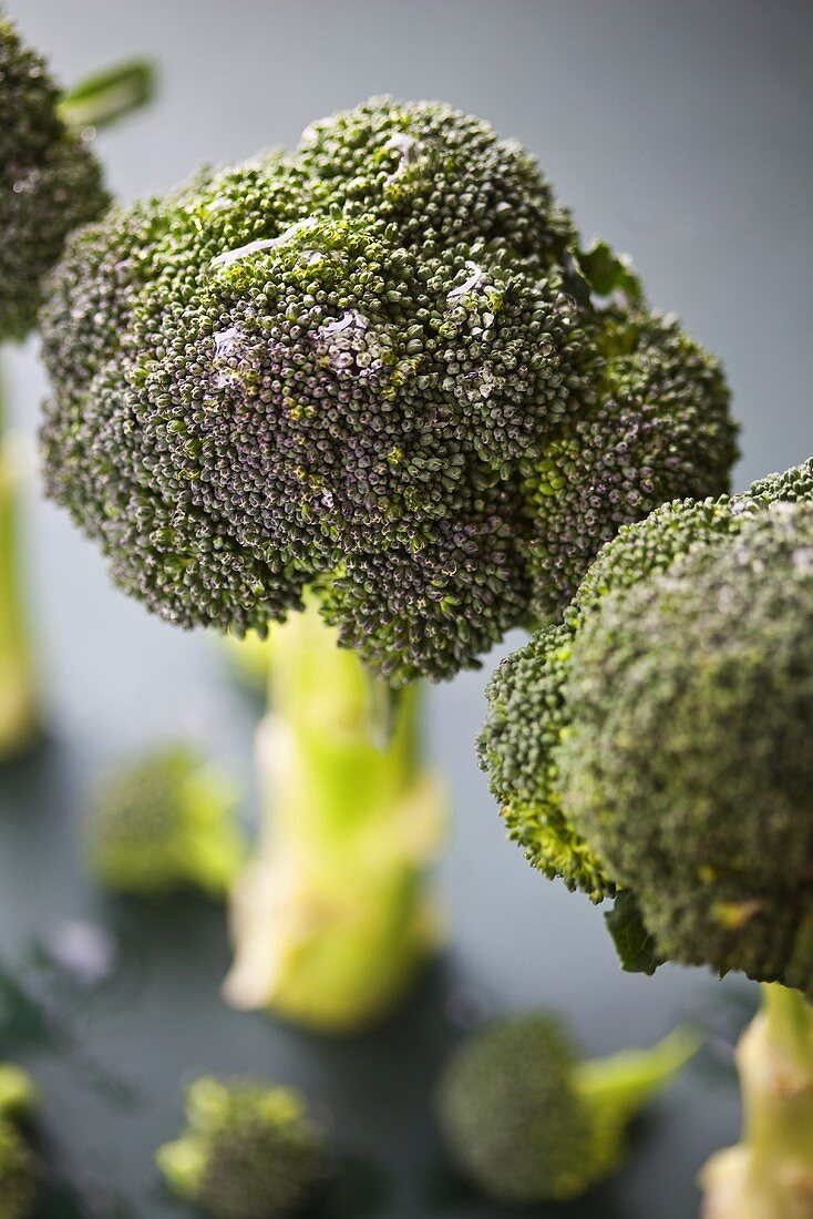 Fresh broccoli