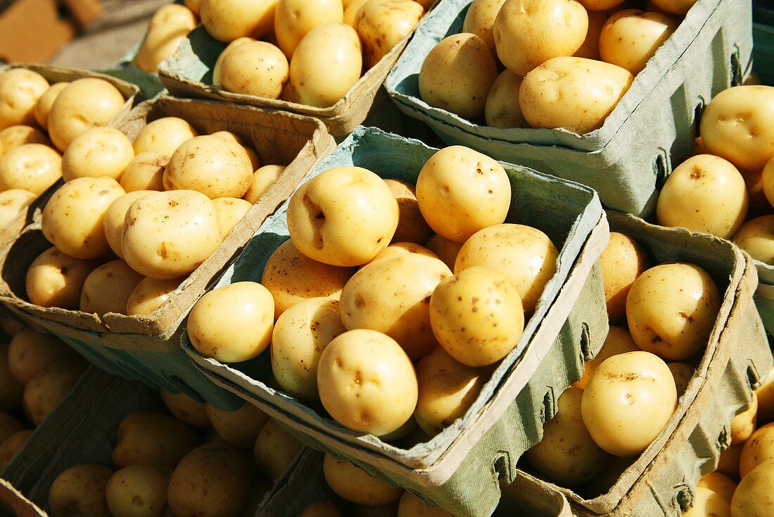 Neue Kartoffeln in Pappschalen auf dem Markt