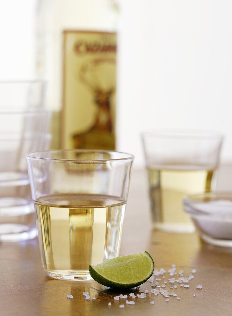 Tequila mit Limettenschnitz und Salz
