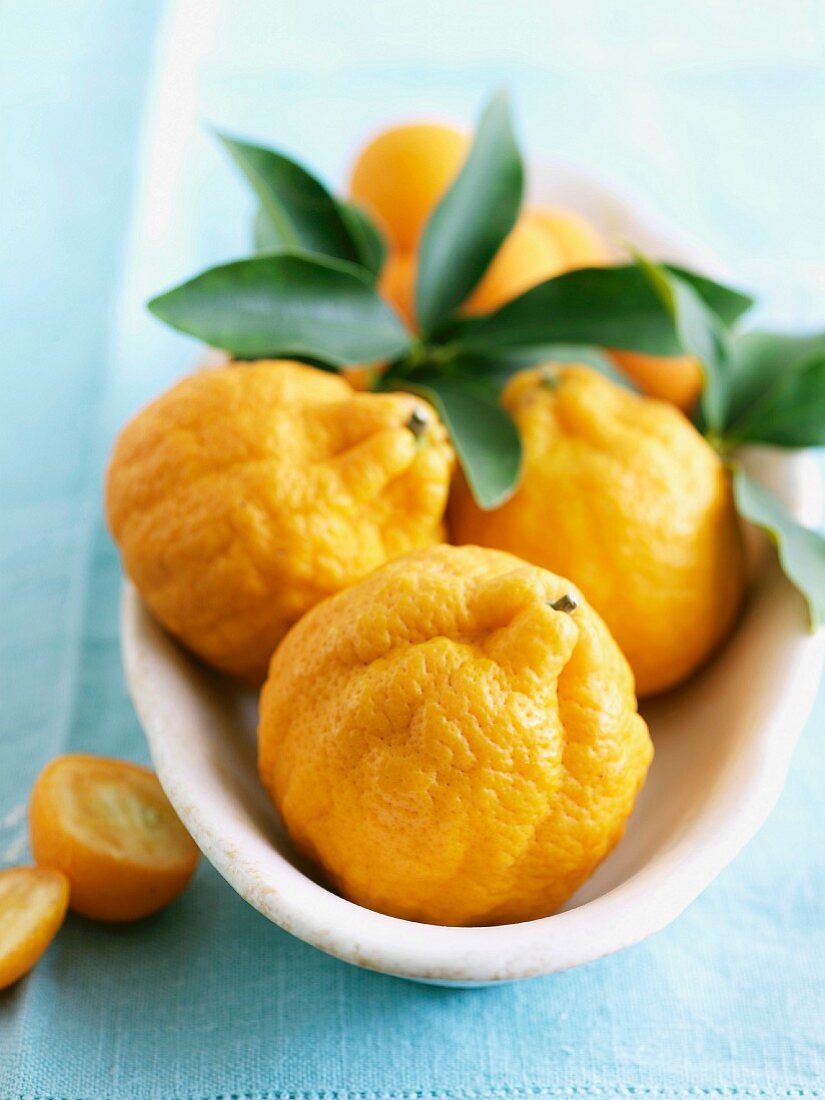 Orangen und Kumquats mit Blättern in Schale