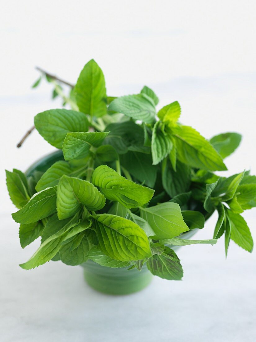 Fresh Bundle of Mint on Wood