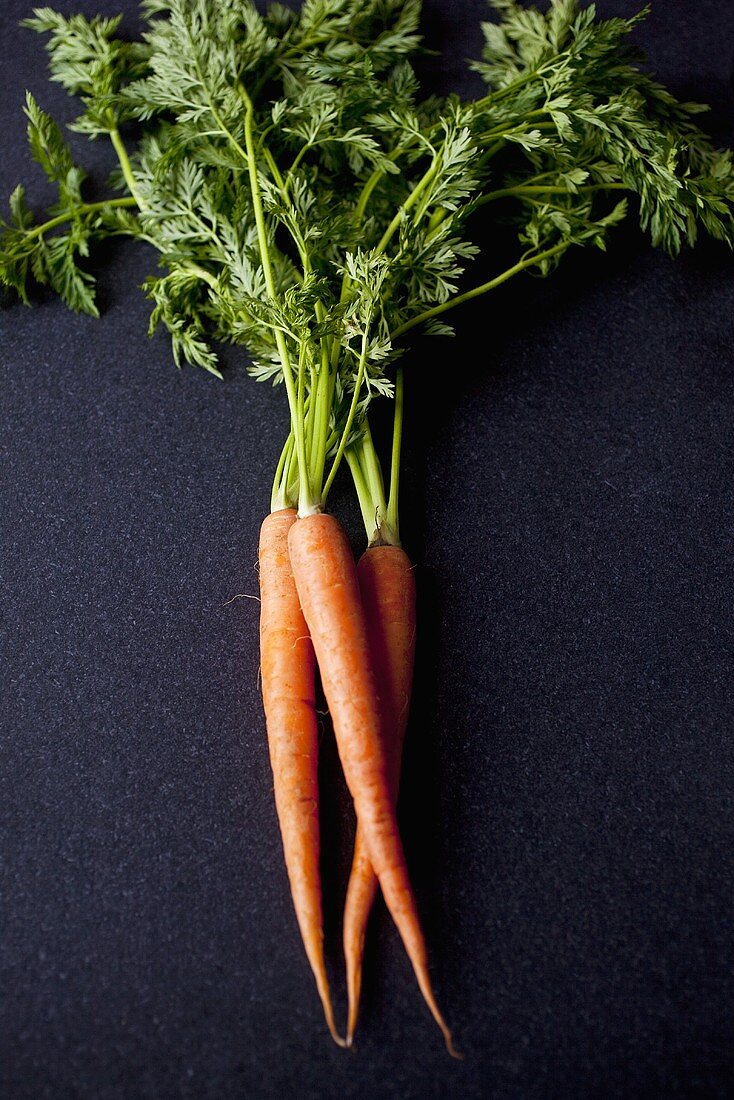 Three Fresh Carrots with Stems