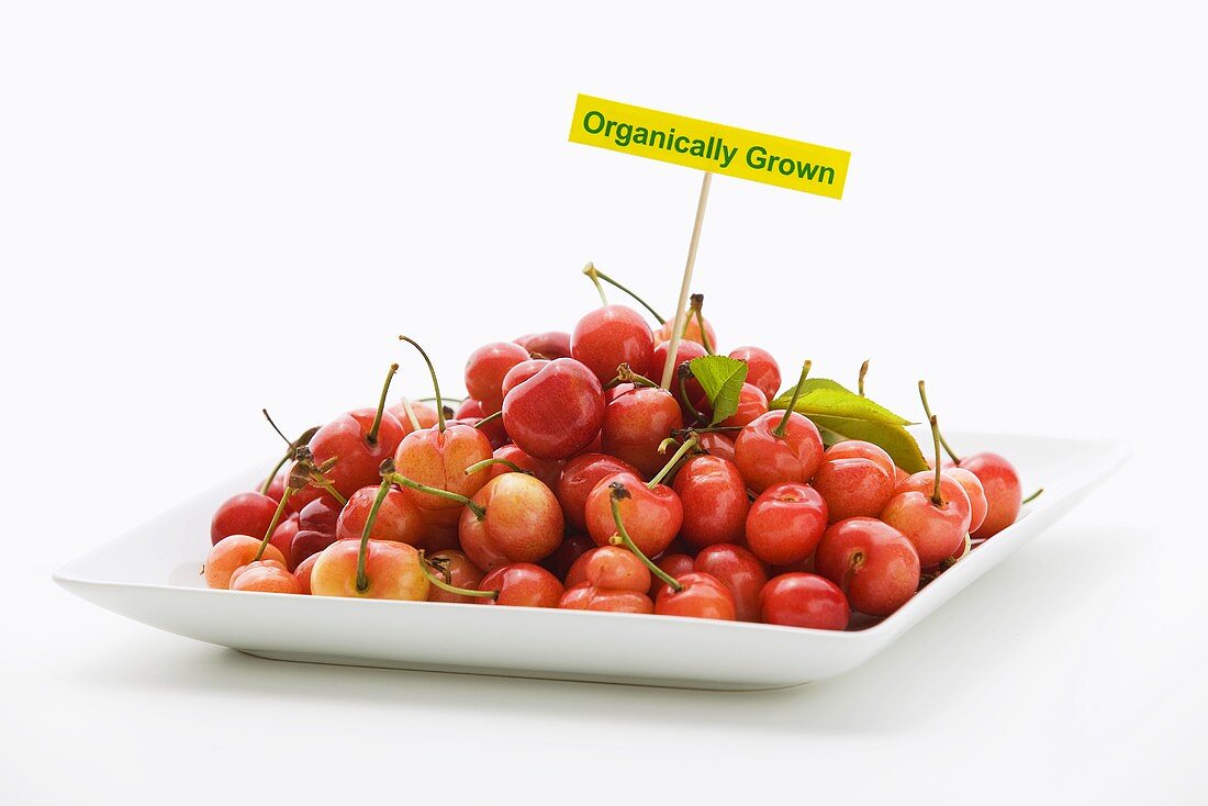 Plate of Organic Cherries with Sign