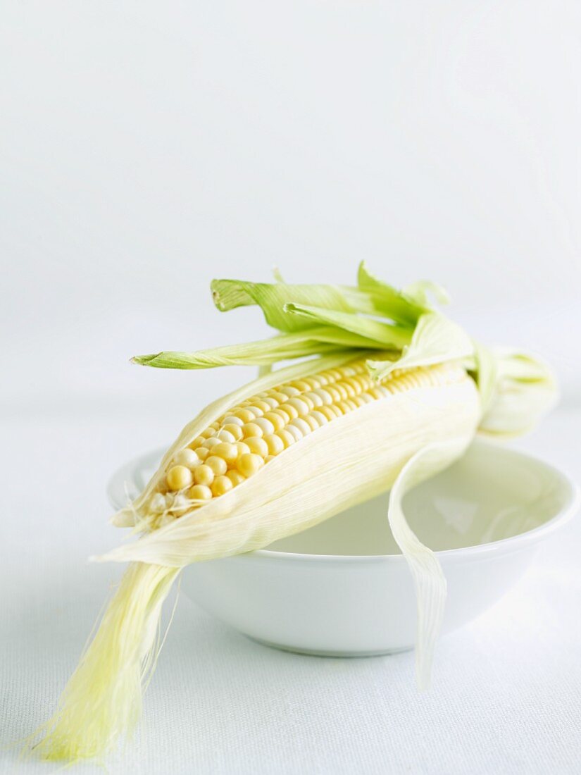 Partially Peeled Ear of Corn on a White Bowl