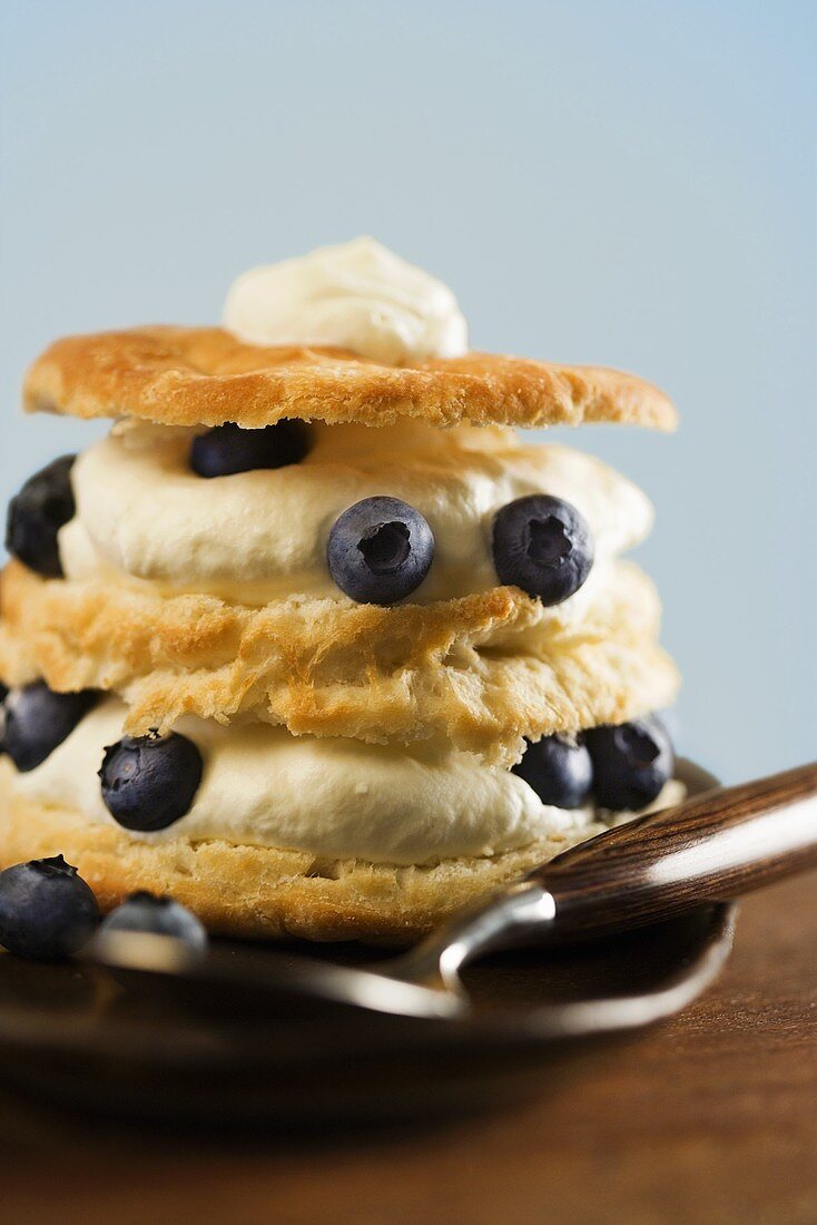 Blueberry and Cream Shortcake