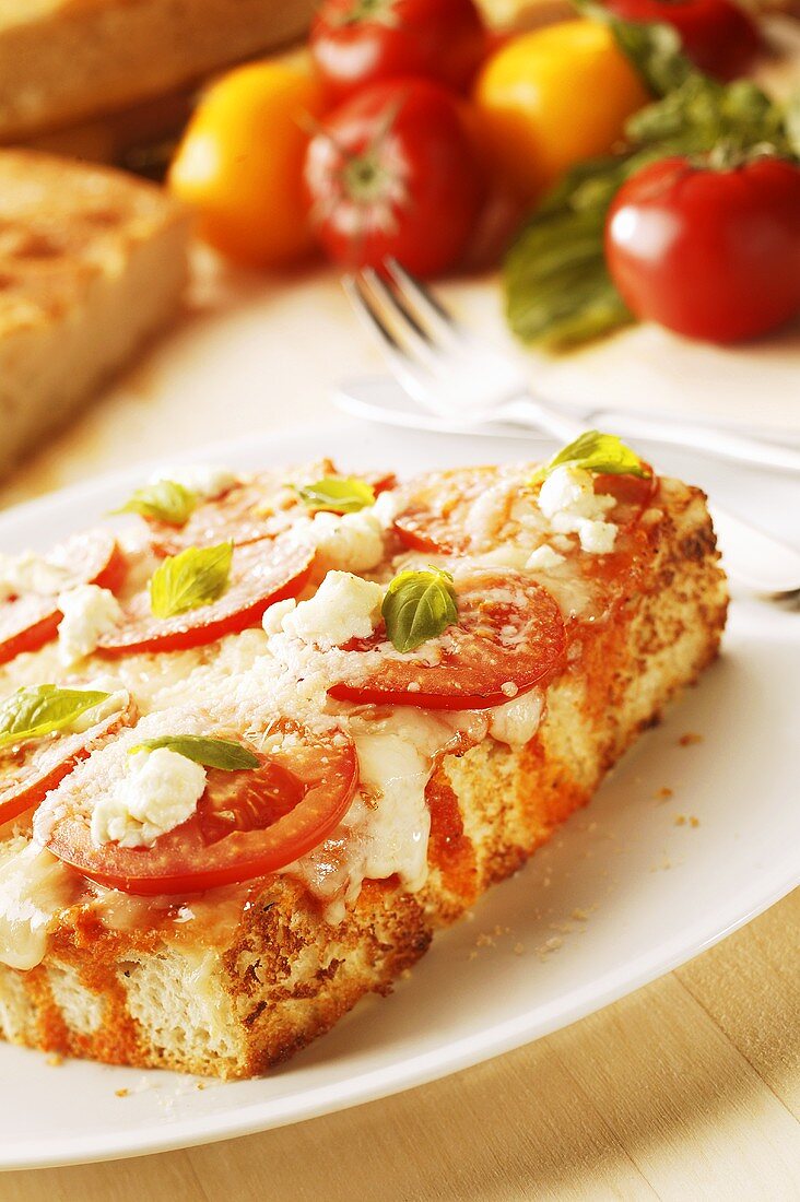 Piece of Margarita Pizza